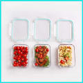 High borosilicate glass food storage container 3 compartment lunch box